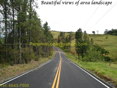 1005 - Hornito - fincas