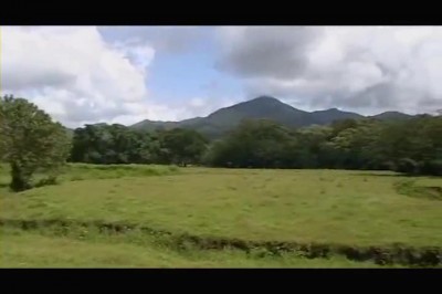 10124 - Las Palmas - fincas