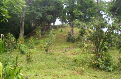 10293 - Capira - lots