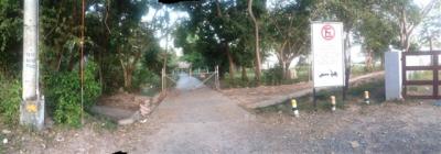 103085 - Rio hato - lotes