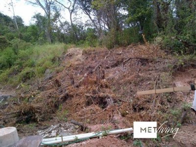 103432 - Taboga - lotes