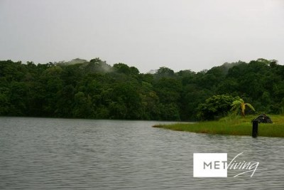 105982 - Gamboa - lotes