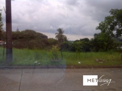 106125 - Tumba muerto - lotes