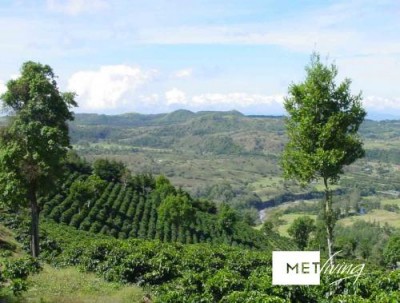 106163 - Boquete - lots