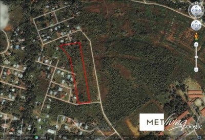 106390 - La Chorrera - lotes