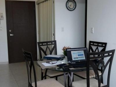 107288 - Calidonia - properties