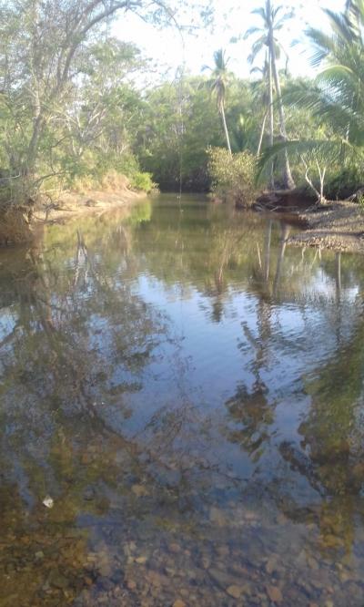 107745 - Mariatos - lots