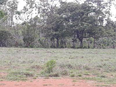 108053 - Aguacatal - lotes