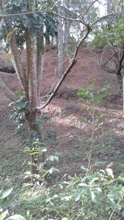 108359 - Panamá Oeste - lotes