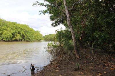 108607 - Punta chame - lotes