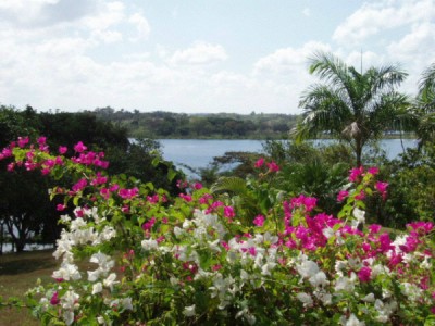 10865 - La Chorrera - lotes