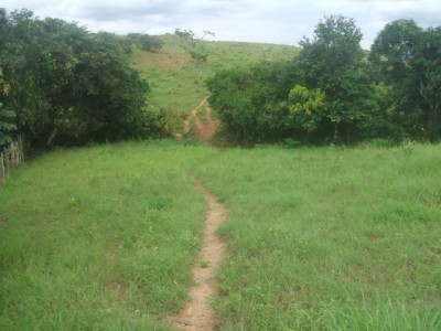 10874 - Pocri - aguadulce - fincas