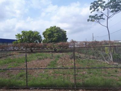 109144 - Punta pacifica - lots