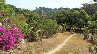 109295 - Las cumbres - lotes