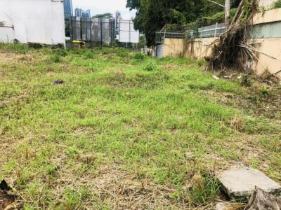 109532 - San francisco - lotes