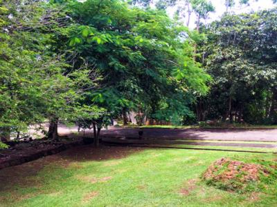 109685 - Albrook - lotes