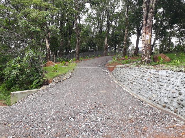 Lote de Casa en Venta en La Pintada
