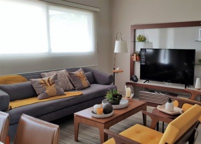 111423 - Bejuco - propiedades