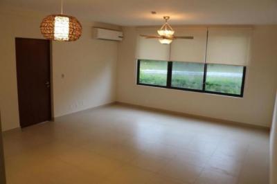 112411 - Panama pacifico - houses - river valley