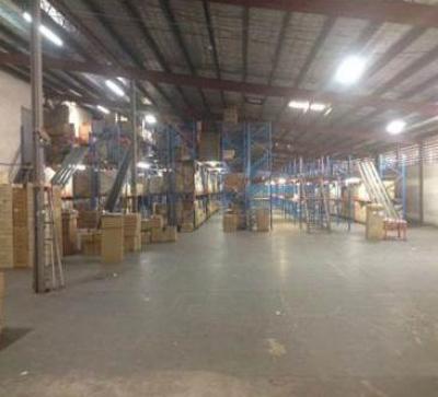 112831 - Zona Libre - galeras