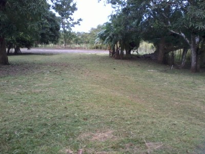 11284 - Ocú - lotes