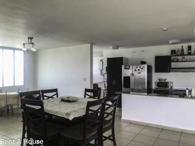 113287 - El cangrejo - apartamentos - dali tower