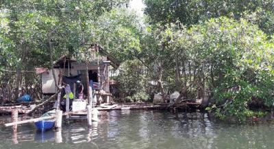 113334 - Isla Colón - casas