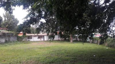 114742 - Carrasquilla - lotes