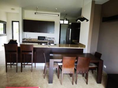 115914 - Panama pacifico - apartamentos - ph soleo