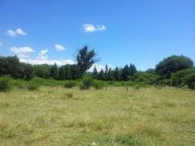 11627 - Changuinola - lots