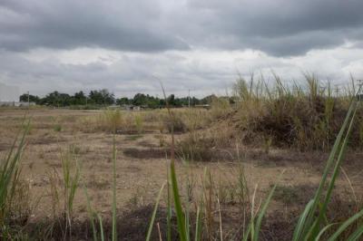 116303 - Pacora - lots