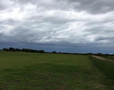 117189 - Panamá - lotes