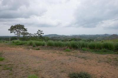 117640 - Jose domingo espinar - lotes