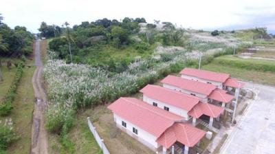 117653 - Las mañanitas - lots