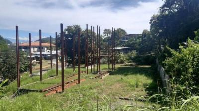 117969 - David - lotes