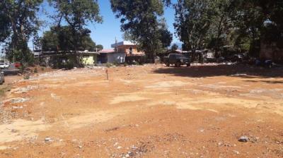 117971 - David - lots