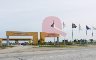 11835 - 24 de diciembre - locales