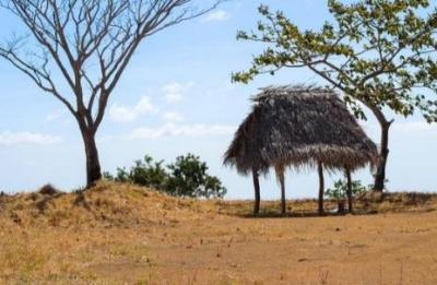 118391 - Tonosí - lotes