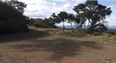 118392 - Tonosí - lotes