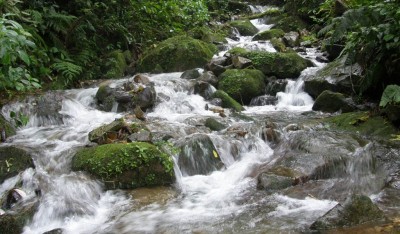 11883 - Boquete - fincas