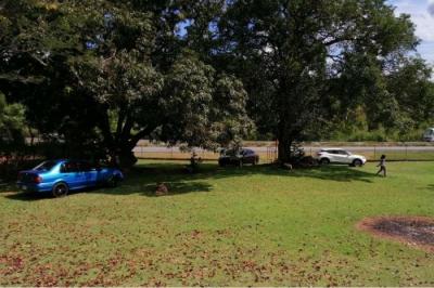 120115 - Guadalupe - galeras