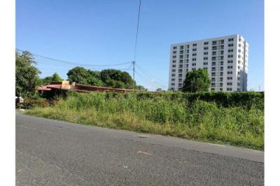 120252 - Juan diaz - lotes