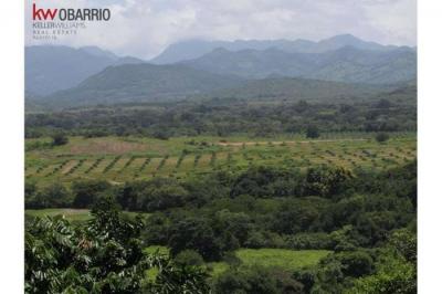 120475 - El cangrejo - fincas