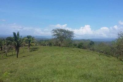 120514 - Chilibre - propiedades