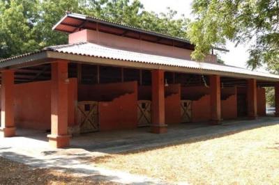 120610 - Las uvas - casas