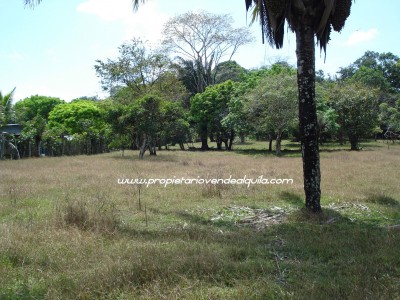 12146 - Chilibre - farms