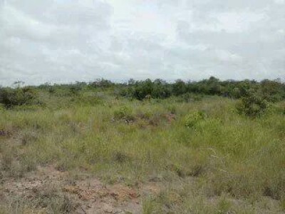 12158 - La ermita - fincas