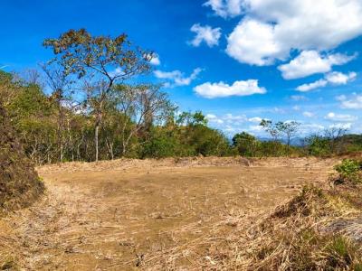 123500 - Pedasí - lotes