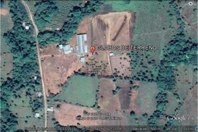 123559 - Boquerón - lotes