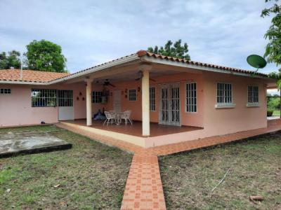 124132 - Avenida balboa - houses